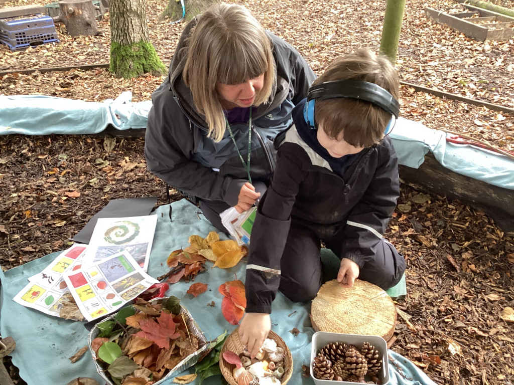 AC firework nature art.jpg