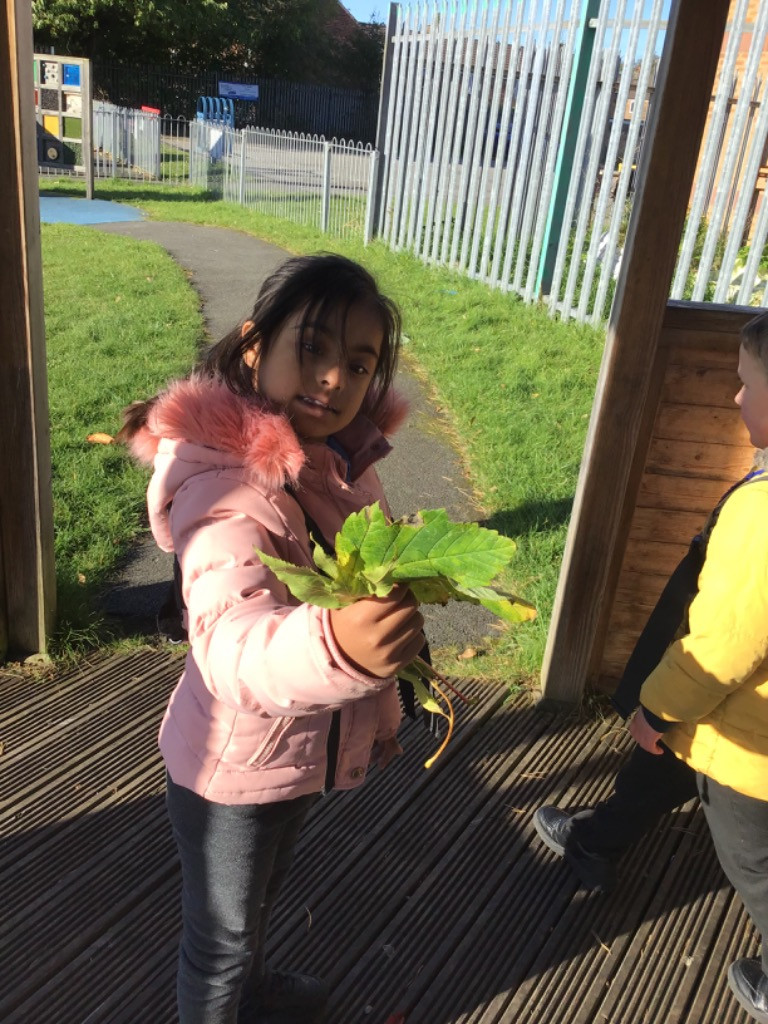 SR autumn colour hunt.jpg