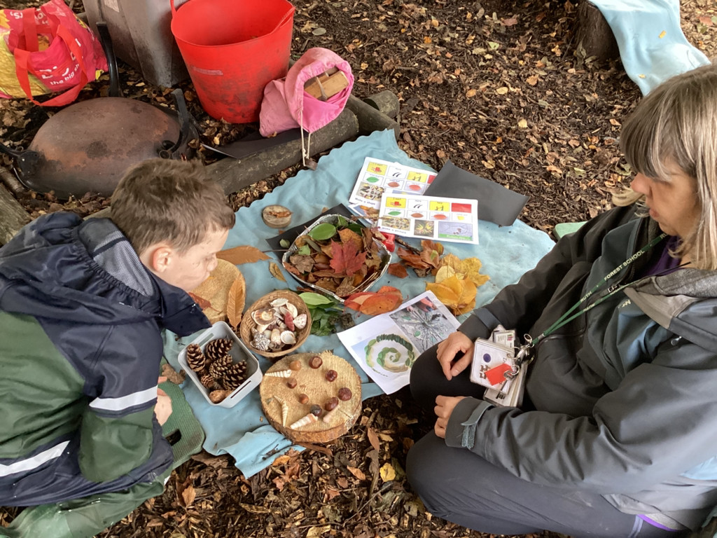 SGS firework nature art.jpg